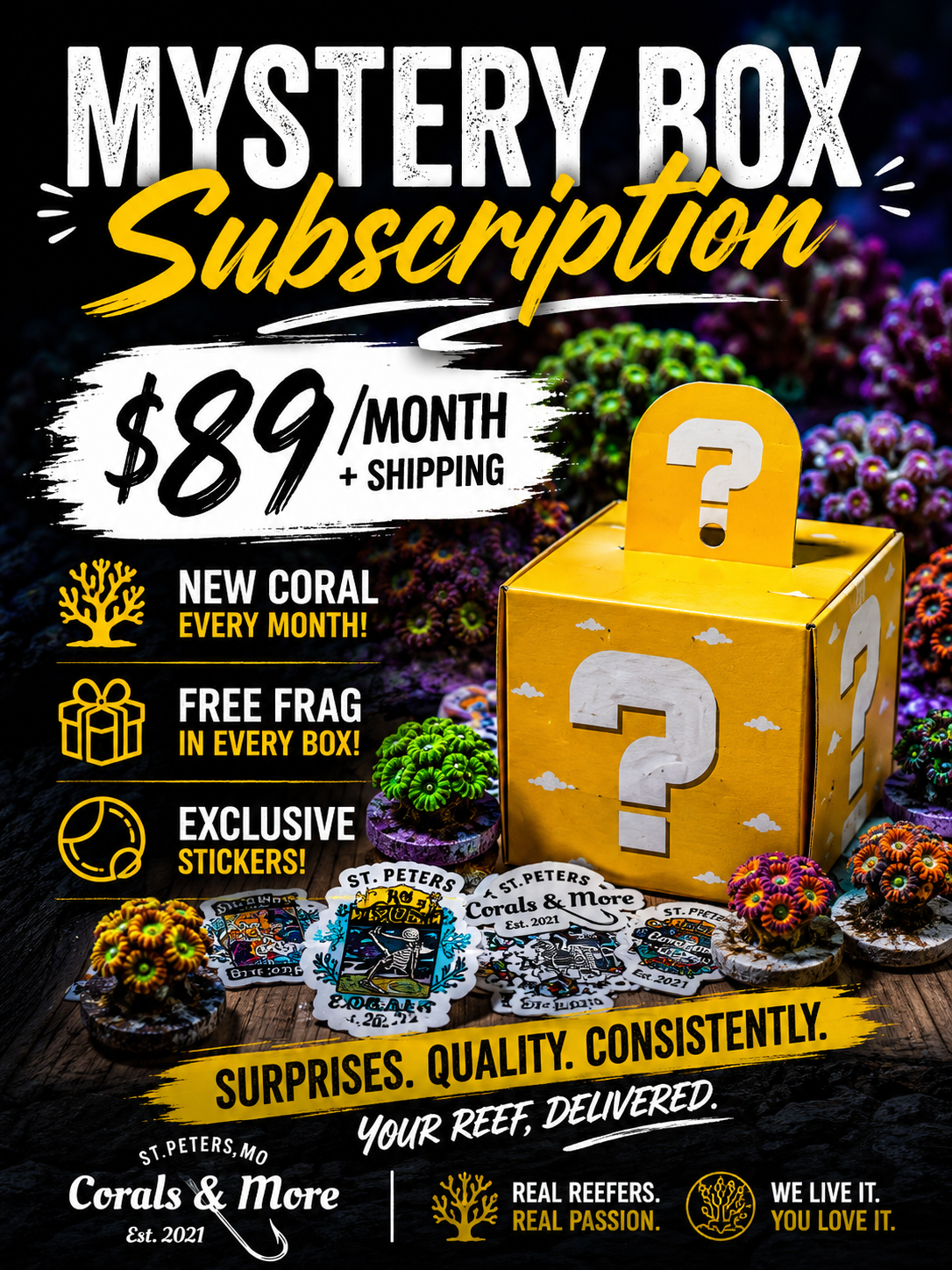 Mystery Box