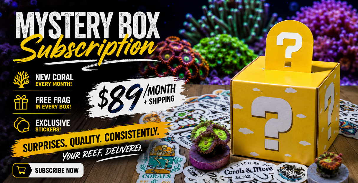 Corals & More Monthly Mystery Box