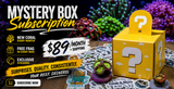 Corals & More Monthly Mystery Box