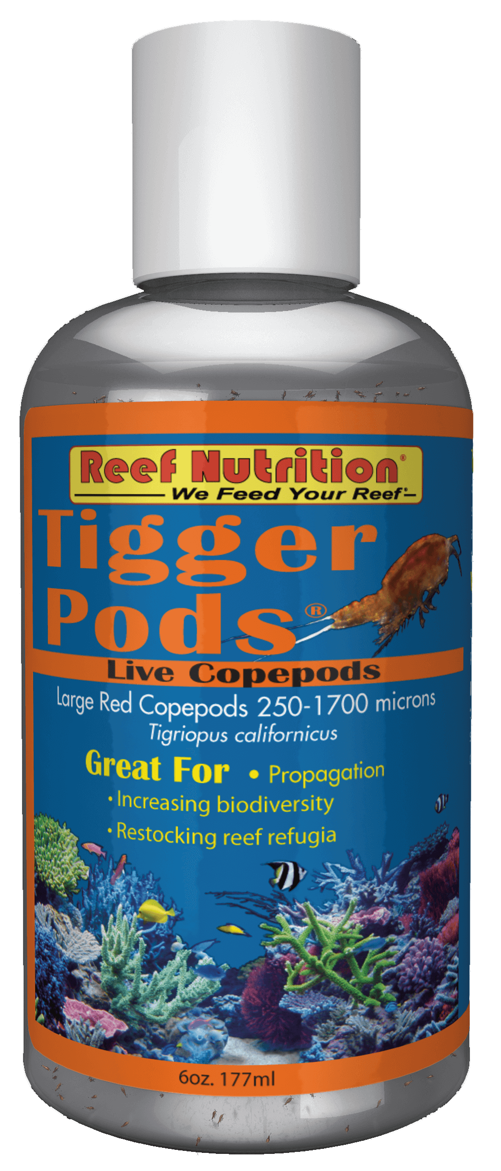 Tigger Pods 6oz (Live)